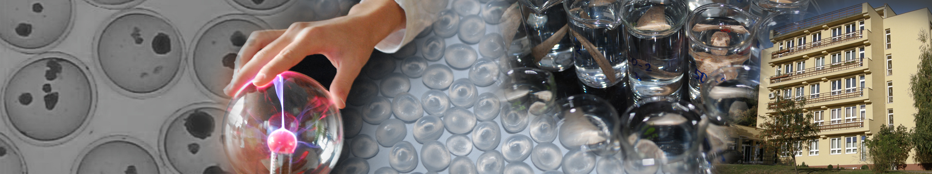 Dissertation vs thesis image